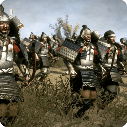 Total War Shogun 2 - Rise of the Samurai Campaign DLC Steam CD Key Global